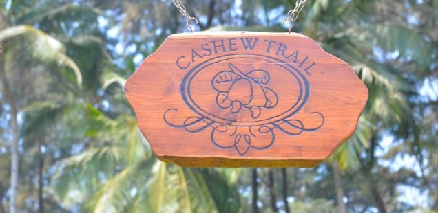 The Cashew Trail @ Park Hyatt, Goa